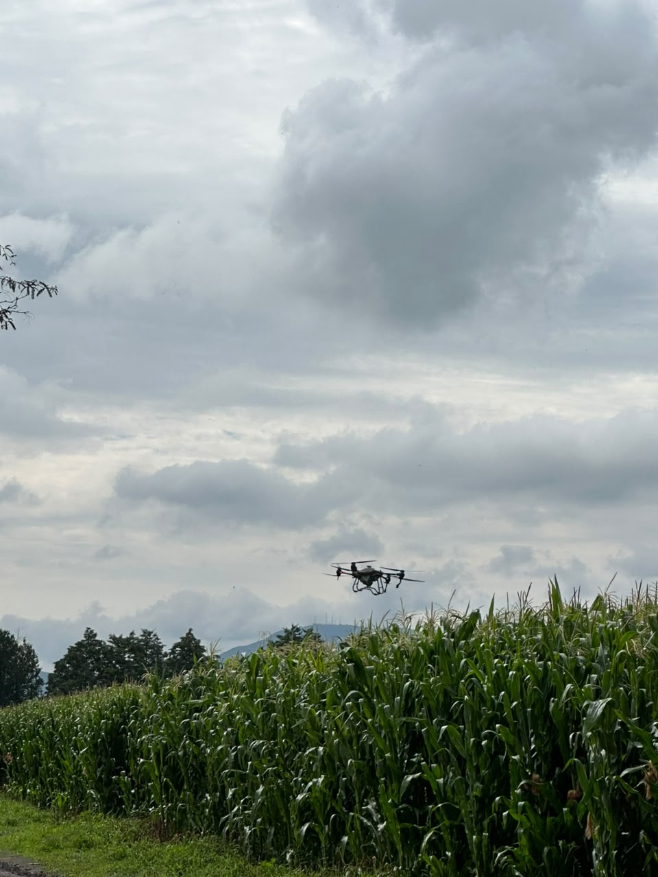 Drone agrícola profesional Agropadron